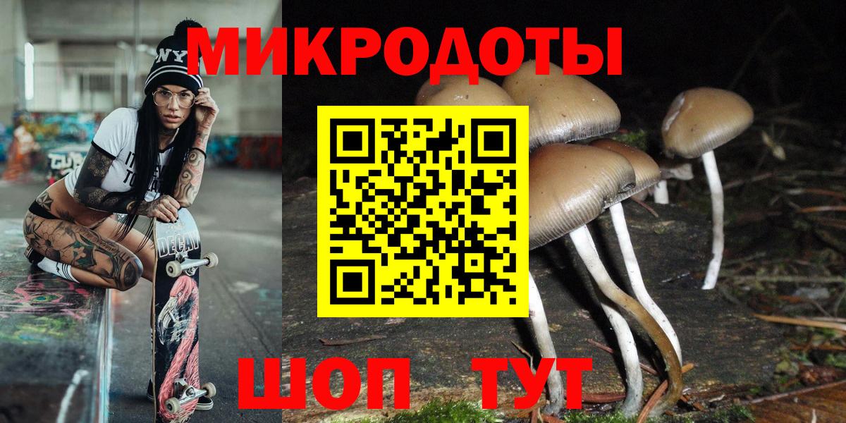 Галлюциногенные грибы MAGIC MUSHROOMS  Галлюциногенные грибы Psilocybine cubensis  Алексеевка  Вход с VPN 