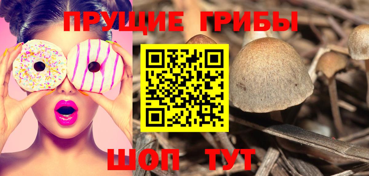 Галлюциногенные грибы MAGIC MUSHROOMS Алексеевка